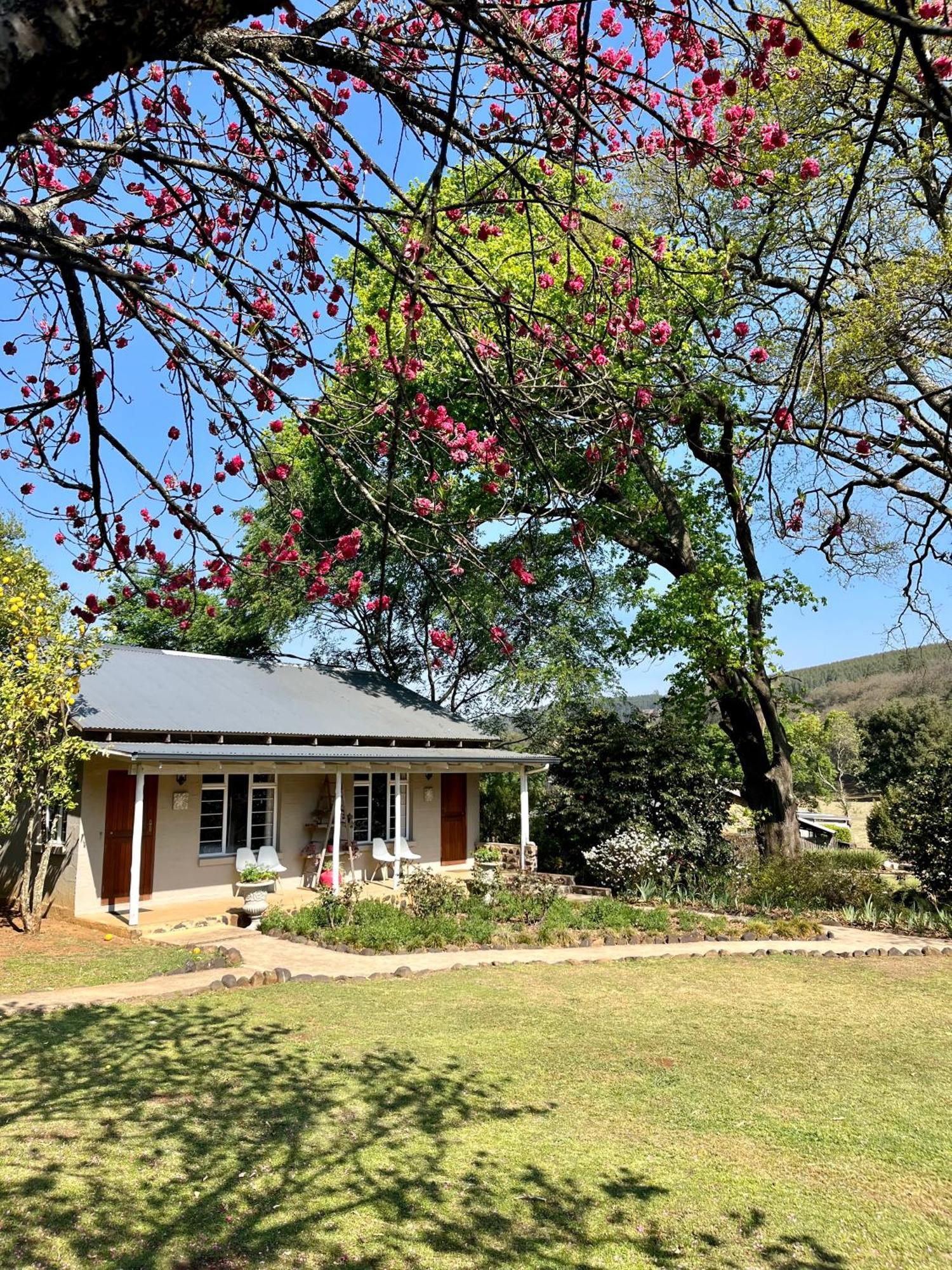 Gowan Valley Guest Farm Balgowan Екстериор снимка